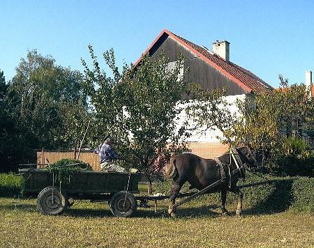 Bed and Breakfast Platanus Beckov Экстерьер фото