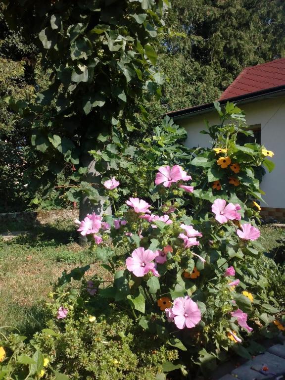 Bed and Breakfast Platanus Beckov Экстерьер фото