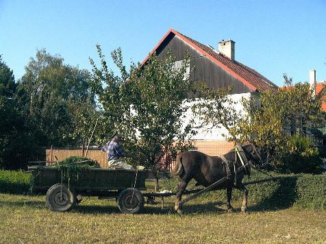 Bed and Breakfast Platanus Beckov Экстерьер фото